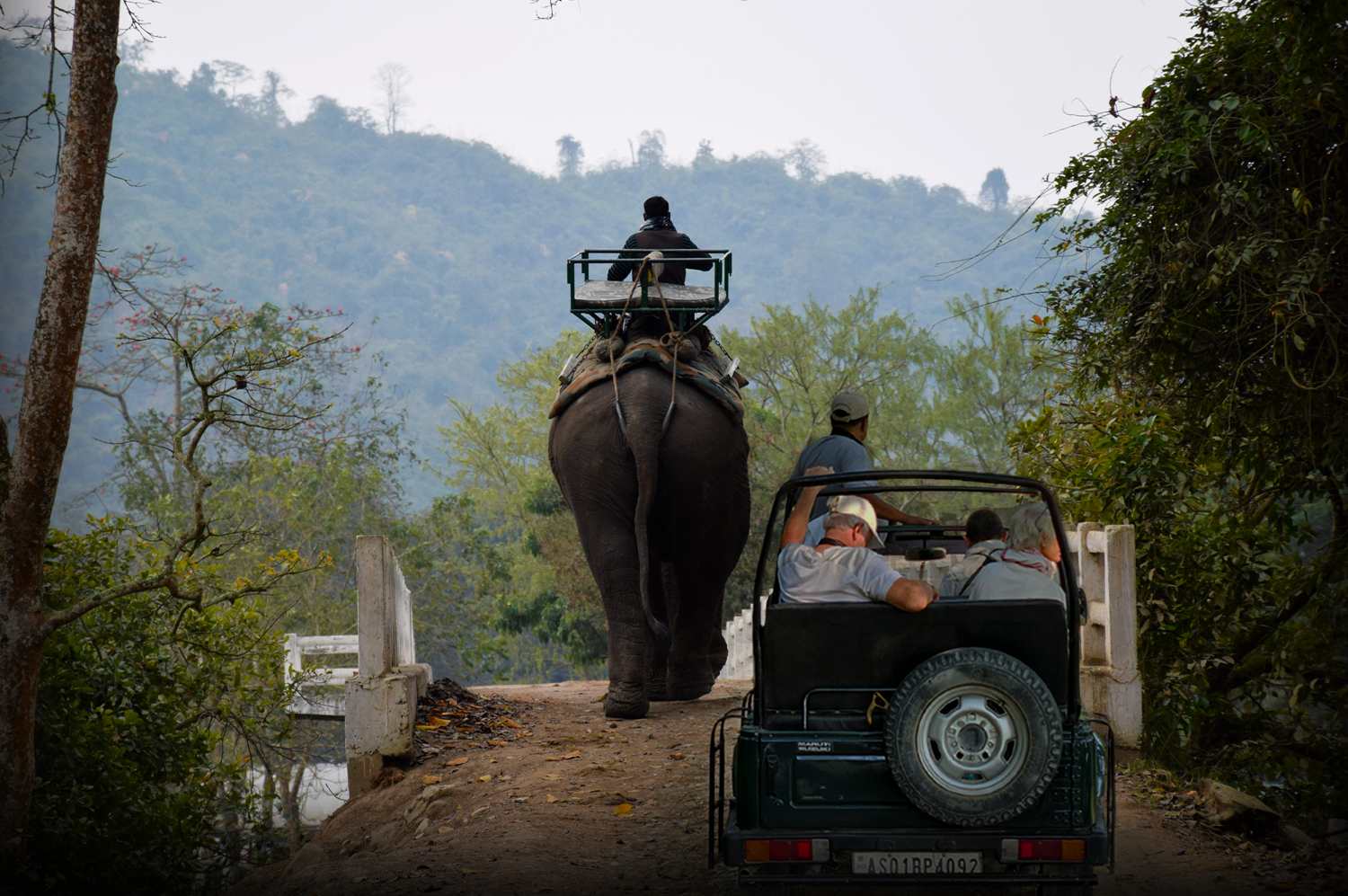 Kaziranga Gypsy Safari